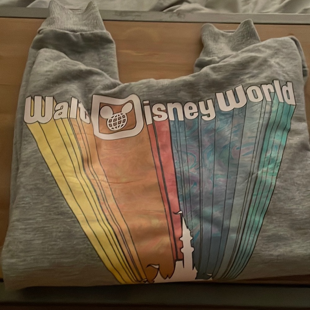 Size M lightweight hoody from Disney World. Oil slick look purchased 11-2-2021